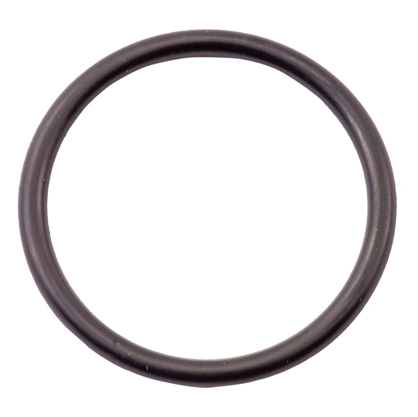 Generator O'Ring for Kawasaki 300X 310X