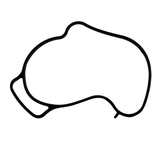 INSTOCK SBT Water Pump Gasket Sea-Doo Spark GTI-GTR-GTS - 420431680 - 420431682 - 41-115-46