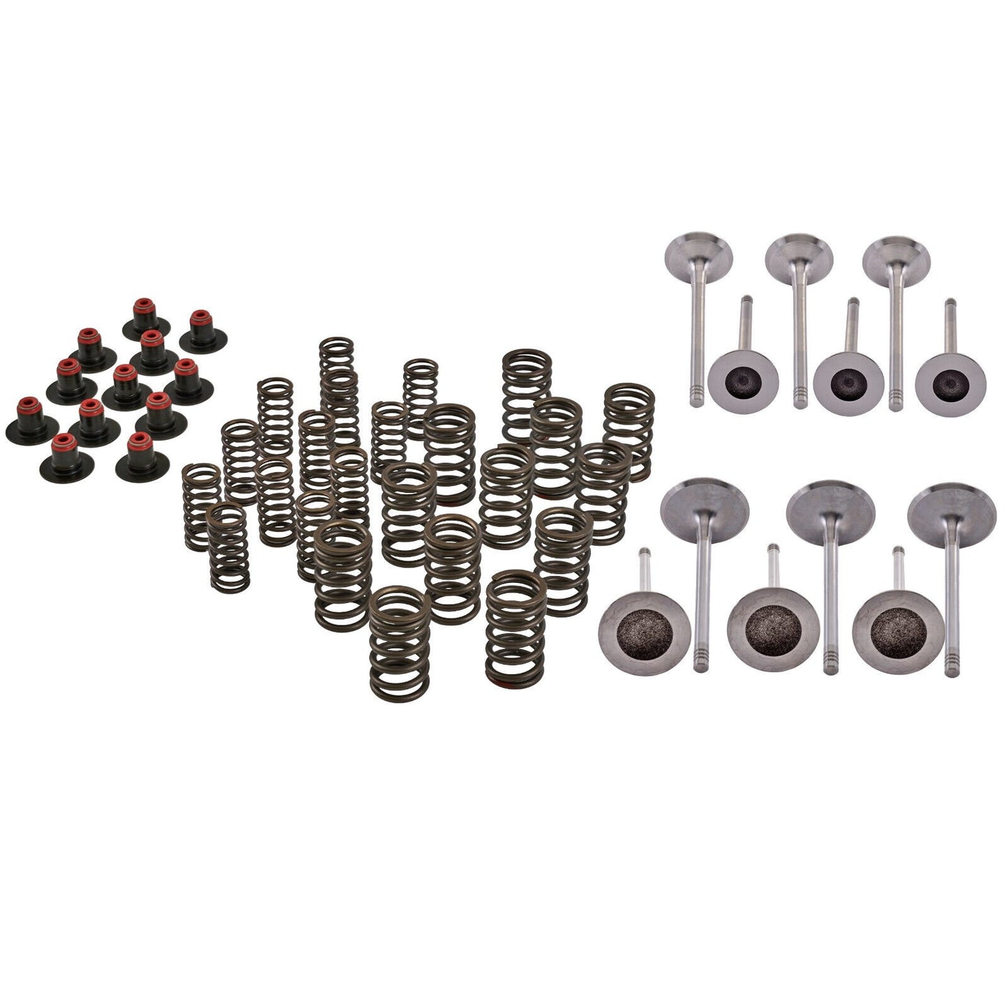 Cylinder Head Rebuild Kit Fits Sea-Doo 4-Strokes Exc. Spark