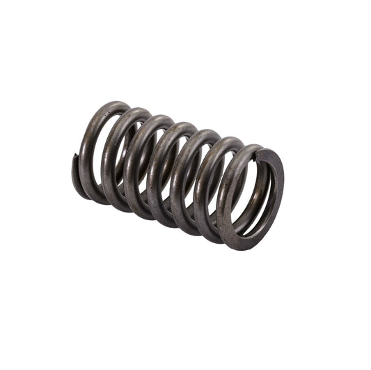 Valve Spring for Honda - F-12 /R-12 14751-MAT-003 2002-2006